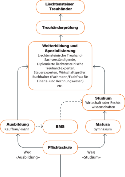Diese Grafik beschreibt den Berufsweg im Treuhand und die Chancen und Weiterbildungen. Es beginnt mit der Pflichtschule danach stehen zwei Türen offen, entweder die Ausbildung über eine Lehre oder über ein Studium. Bei der Ausbildung über die Lehre Kauffrau/mann kann entweder über die Berufsmatura BMS ein Studium im Bereich Wirtschaft oder Rechtswissenschaften absolviert werden. Bei dem Weg übers Studium erfolgt zuerst die Matura im Gymnasium danach das Studium im Bereich Wirtschaft oder Rechtswissenschaften. Für beide Ausbildungen erfolgt dann eine Weiterbildung und Spezialisierung, welche folgende unter anderem Ausbildungen möglich machen: Liechtensteinische Treuhand-Sachverständigende, Diplomierte liechtensteinische Treuhand-Experten, Steuerexperten, Wirtschaftsprüfer, Buchhalter (Fachmann/Fachfrau für Finanz- und Rechnungswesen) etc. Danach kann die Treuhänderprüfung abgelegt werden zum Liechtensteiner Treuhänder.